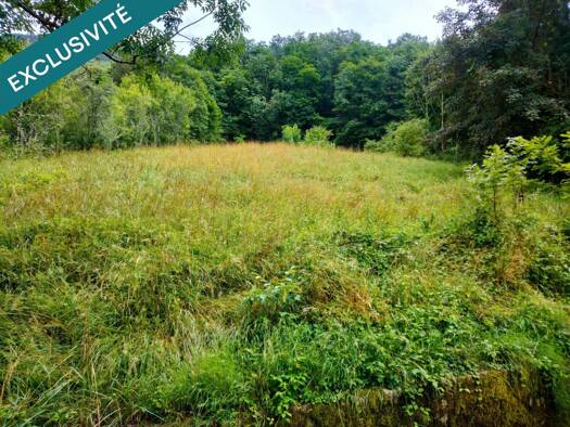 Terrain à vendre 12 600 € 3 138 m² de terrain Salins-les-Bains 39110