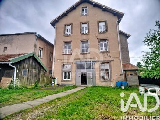 Immeuble à vendre 150 000 € 319 m² Badonviller 54540