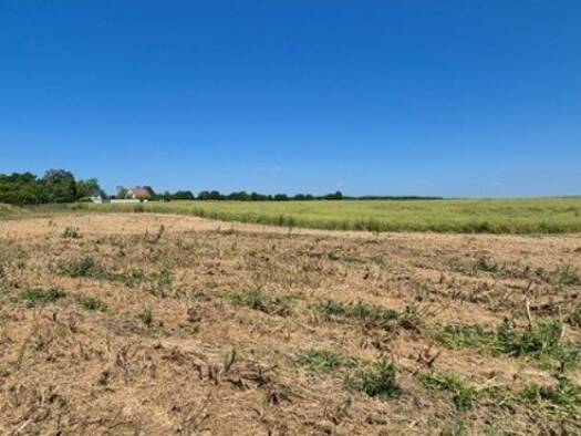Terrain constructible viabilisé à vendre 63 600 € 600 m² de terrain Plivot 51150