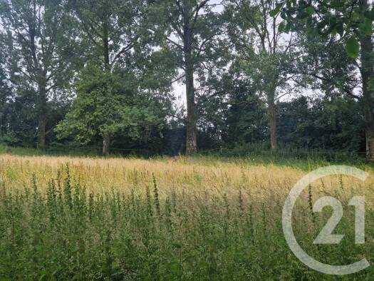 Terrain constructible à vendre 109 000 € 3 734 m² de terrain Cormont 62630