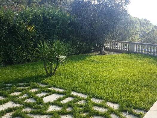 Appartement à louer 950 € 2 pièces 1 chambre 55 m² RDC Tourrette-Levens 06690