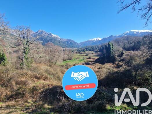 Maison à vendre 550 000 € 8 pièces 6 chambres 310,3 m² 5 251 m² de terrain Tavera 20163