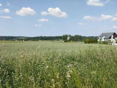 Terrain à vendre 120 890 € 543 m² de terrain Muespach-le-Haut 68640