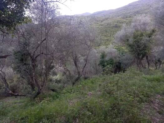 Terrain à vendre 49 000 € 13 960 m² de terrain Sospel 06380