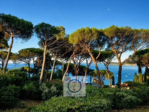 Terrain à vendre 3 500 000 € 1 700 m² de terrain La Croix-Valmer 83420
