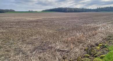 Terrain constructible à vendre 110 000 € 1 147 m² de terrain Remy 60190