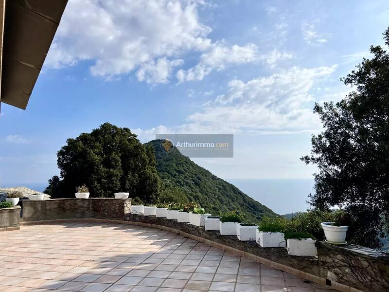 Maison à vendre, 381m², SAN MARTINO DI LOTA