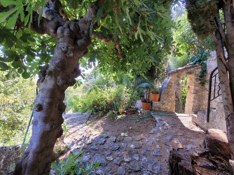 Maison à vendre, 140m², SOLLIES VILLE