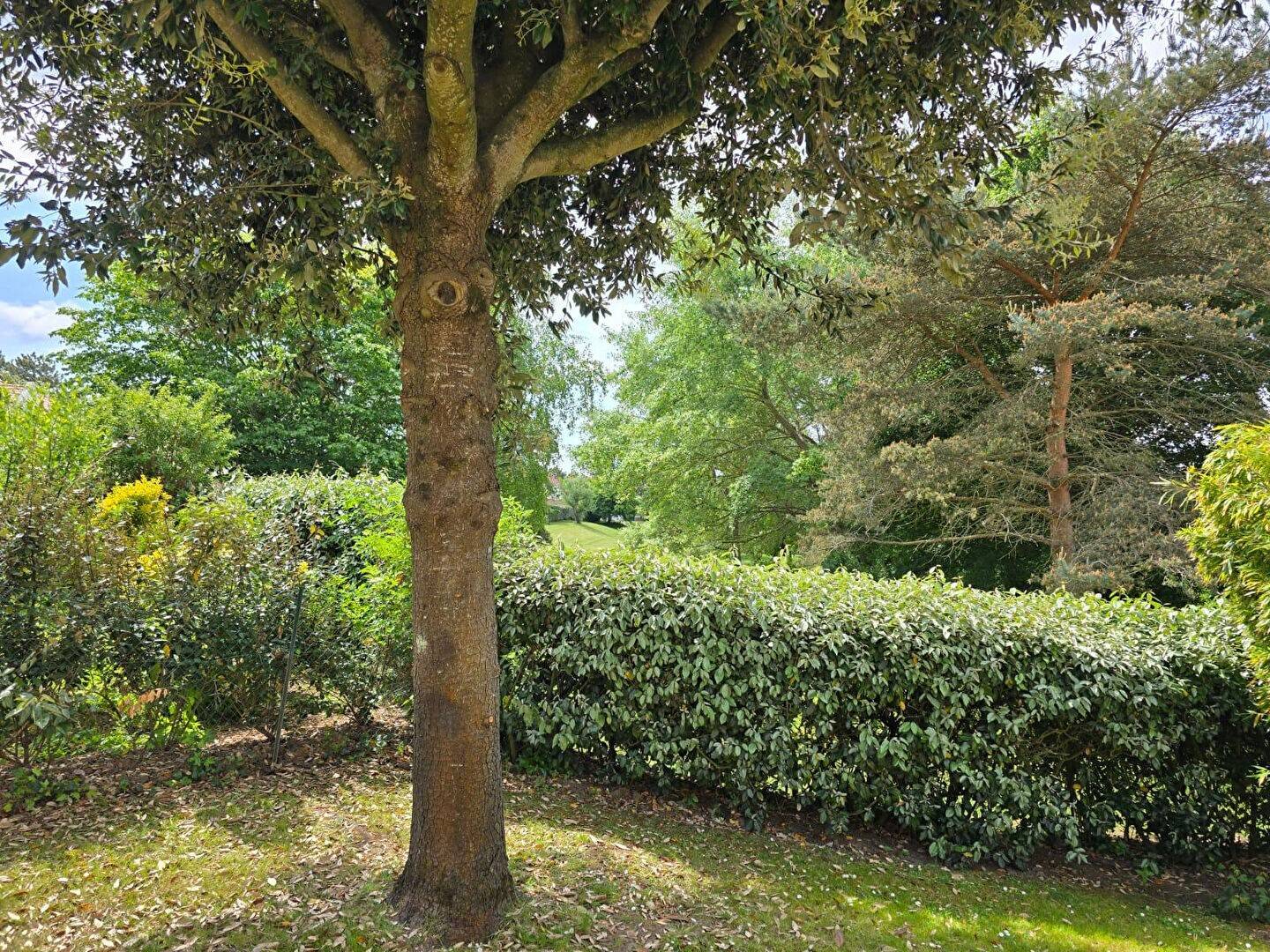 Maison à vendre, 206m², LE TOUQUET PARIS PLAGE