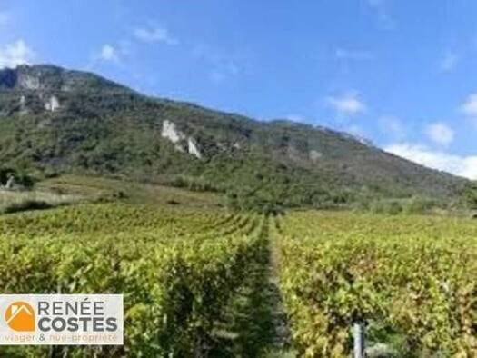 Maison en viager occupé Bouquet 125 600 € 6 pièces 3 chambres 110 m² 2 394 m² de terrain Montmélian 73800