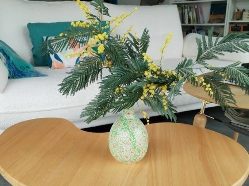 Maison à louer, 10m², TARNOS