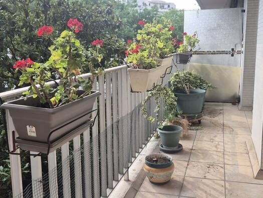 Appartement à vendre 550 000 € 2 pièces 1 chambre 65,5 m² Étage 2/6 Alleray Procession Paris 15ème arrondissement 75015