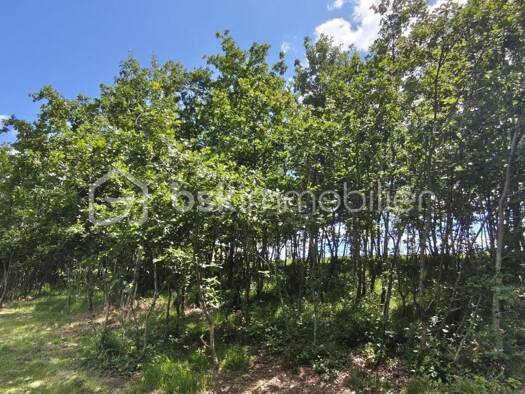 Terrain constructible à vendre 35 000 € 1 760 m² de terrain Monclar-de-Quercy 82230