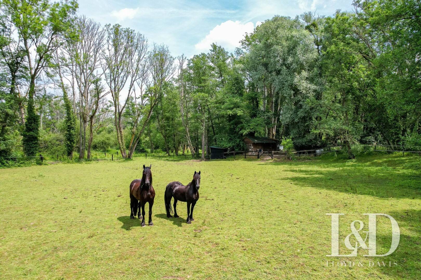Maison à vendre, 310m², SAINT MAURICE MONTCOURONNE