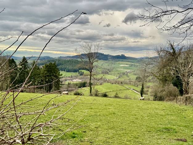 Terrain constructible à vendre 39 000 € 3 730 m² de terrain La Clayette 71800