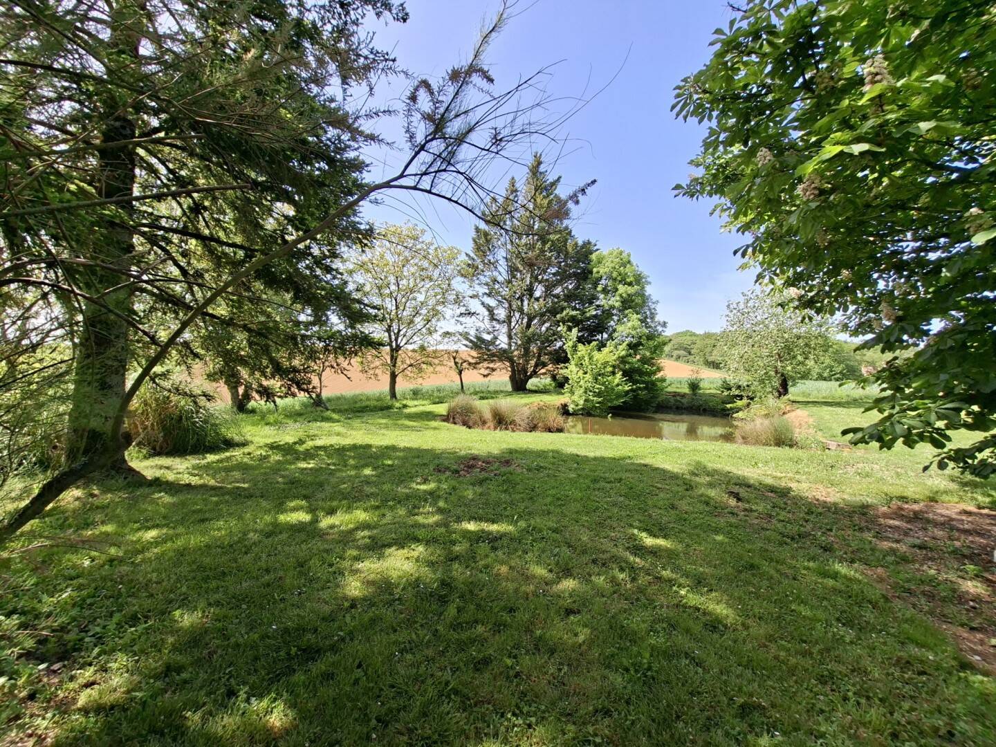 Maison à vendre, 273m², MIRANDE