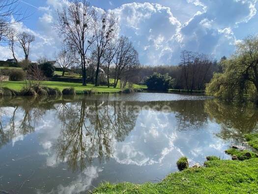 Maison à vendre 780 000 € 7 pièces 4 chambres 175 m² 13 249 m² de terrain Elven 56250