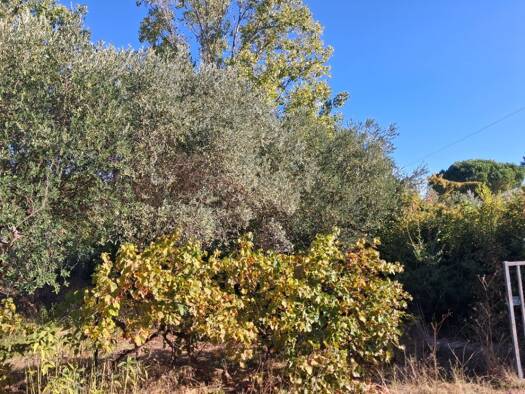 Terrain constructible à vendre 115 000 € 900 m² de terrain Le Val 83143