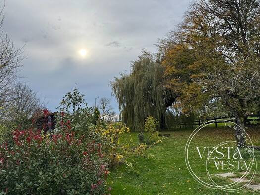 Maison en viager 37 000 € 2 pièces 1 chambre 60 m² 5 987 m² de terrain Chassigny 52190