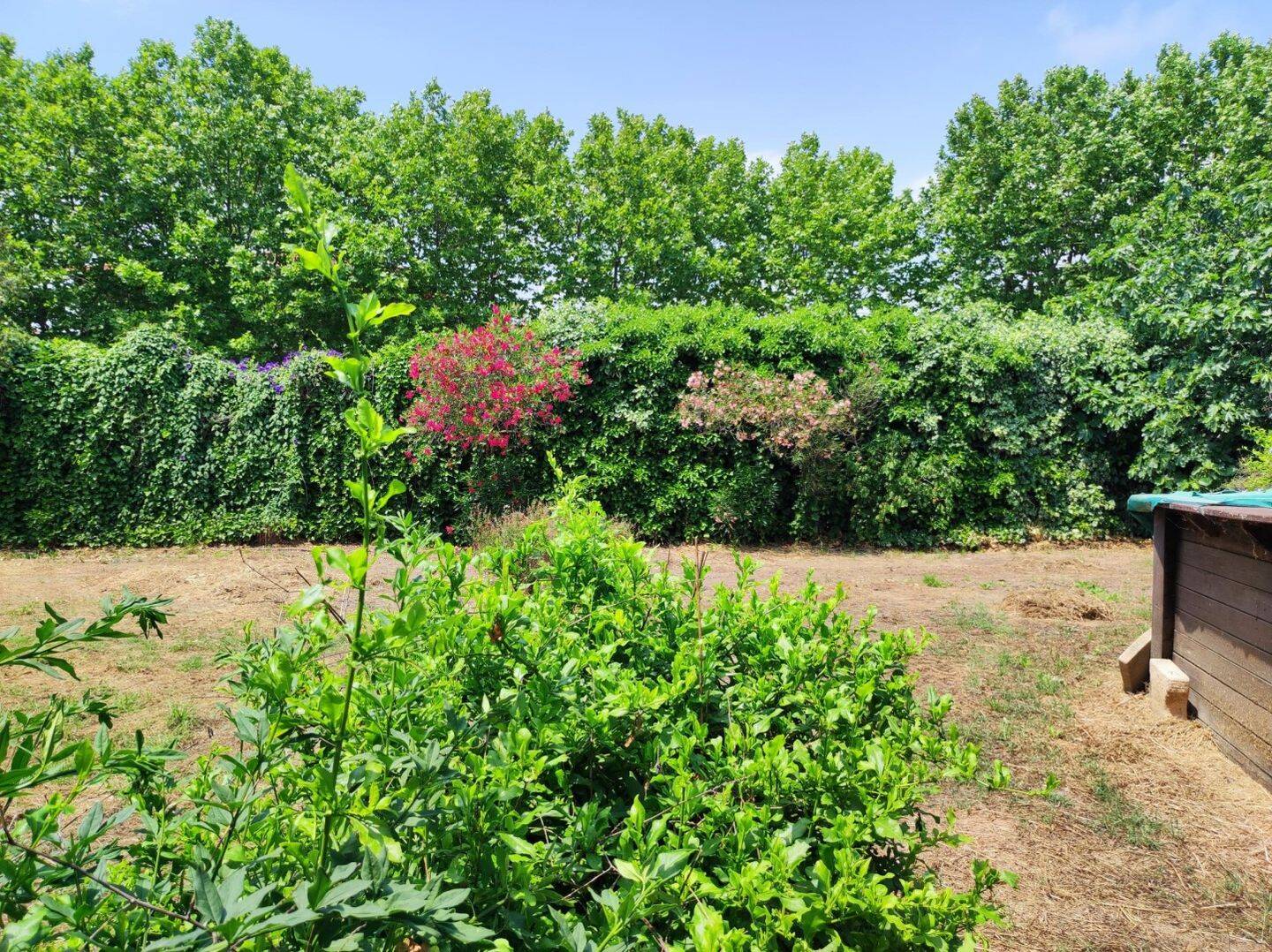 Maison à vendre, 195m², FRONTIGNAN