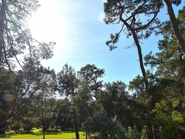 Duplex à vendre 649 000 € 5 pièces 4 chambres 93 m² Hossegor Soorts-Hossegor 40150