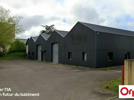 Local d'activités à louer 2 000 € 210 m² d'espace de stockage Saint-Symphorien-d'Ozon 69360