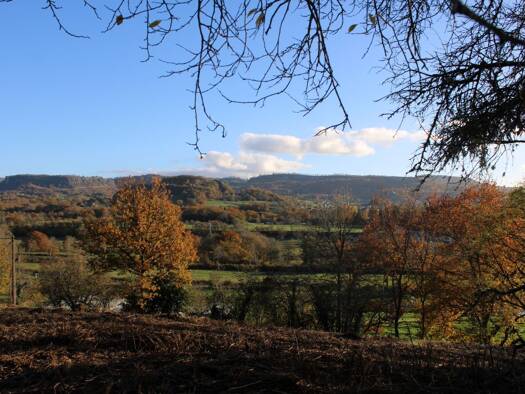 Terrain constructible viabilisé à vendre 39 000 € 1 998 m² de terrain Ydes 15210