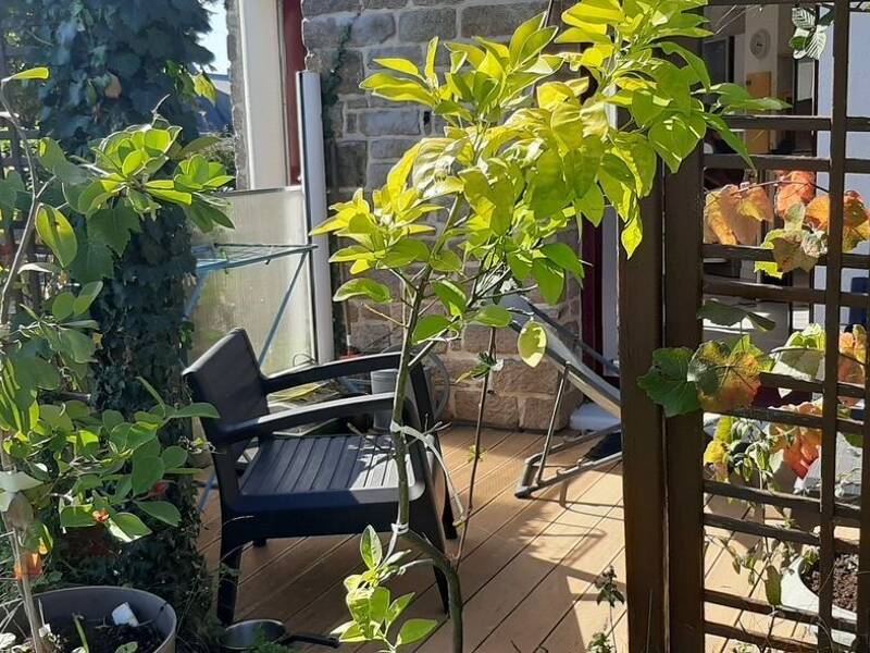 Maison à louer, 53m², VANNES