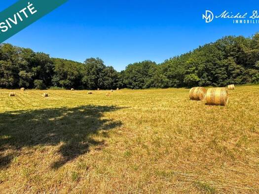 Terrain constructible à vendre 113 000 € 11 852 m² de terrain Limeuil 24510