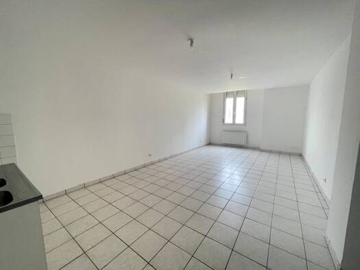 Appartement à louer 450 € 3 pièces 1 chambre 60 m² RDC Jussey 70500
