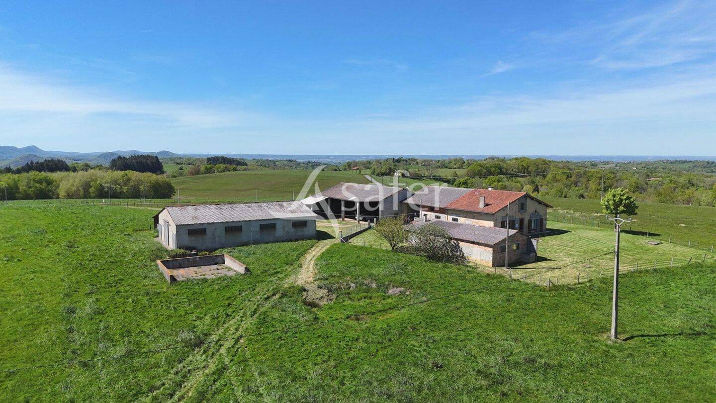Maison à vendre, 280m², MONTESQUIEU VOLVESTRE