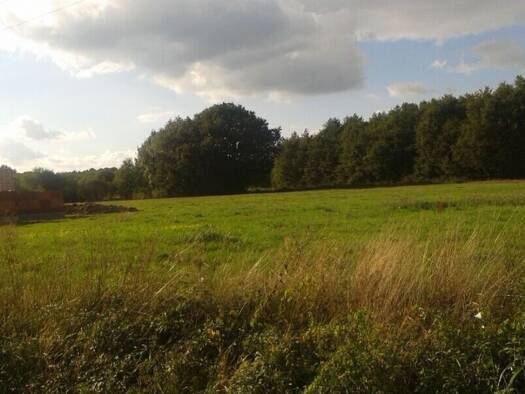 Terrain constructible à vendre 31 000 € 2 695 m² de terrain Langon-sur-Cher 41320