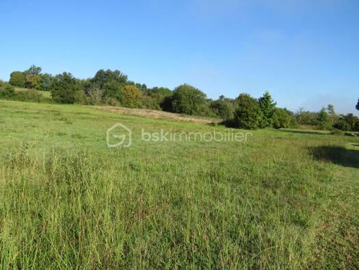 Terrain constructible à vendre 35 000 € 3 895 m² de terrain Baliracq-Maumusson 64330
