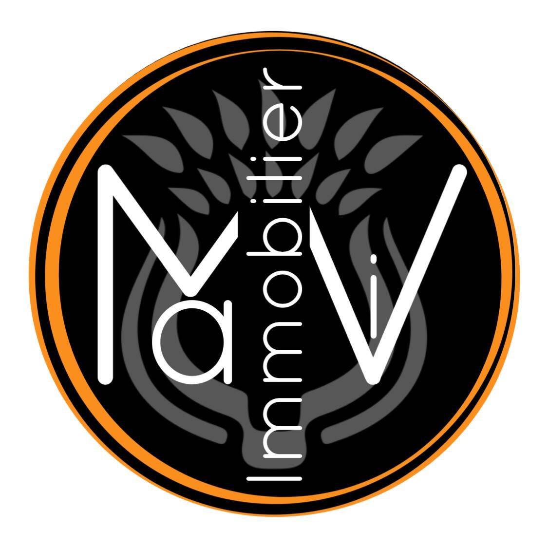MAVI IMMOBILIER