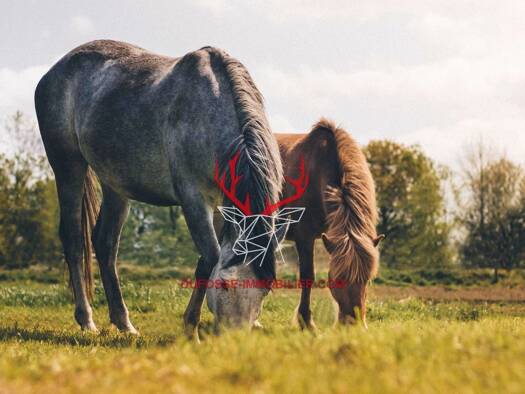 Terrain constructible à vendre 668 000 € 4 200 m² de terrain La Teste-de-Buch 33260