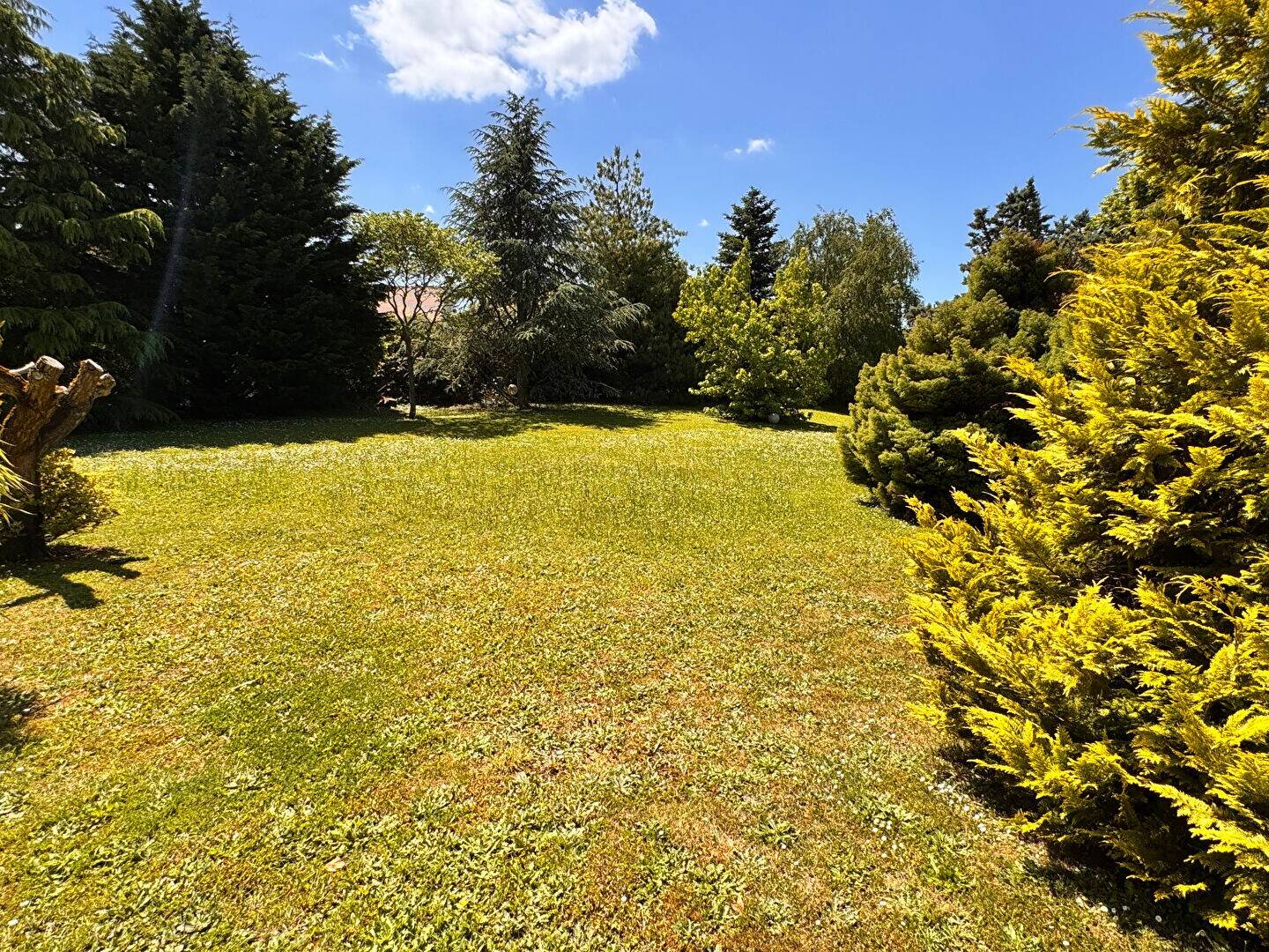 Maison à vendre, 225m², SAINT NOM LA BRETECHE