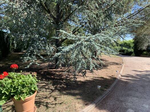 Terrain constructible viabilisé à vendre 290 000 € 688 m² de terrain Lissieu 69380