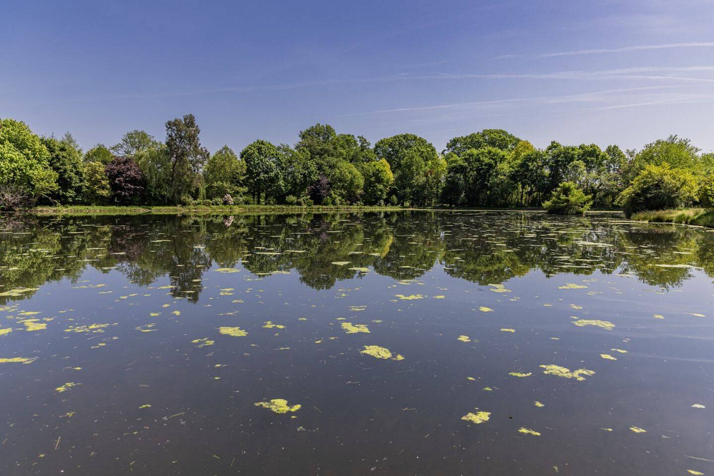 Maison à vendre, 450m², PAU