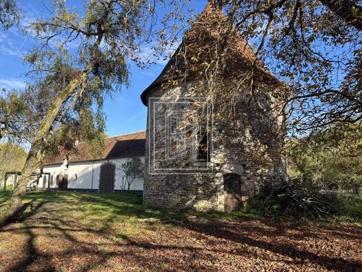 Maison à vendre 761 250 € 11 pièces Pruniers-en-Sologne 41200