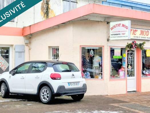 Pret-à-Porter à vendre Fonds de commerce 58 000 € 4 pièces 100 m² de surface de vente Thaon-les-Vosges 88150