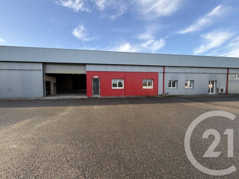 Maison à louer, 315m², L'ISLE JOURDAIN