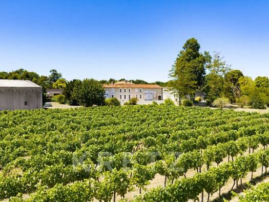 Vignoble à vendre 2 950 000 € 1 838 m² 700 000 m² de terrain Rouffiac 17800