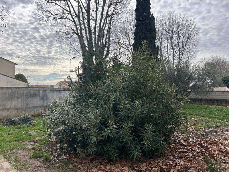 Maison à louer, 146m², MANDUEL