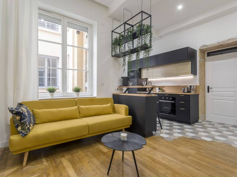 Maison à louer, 37m², LYON 1ER