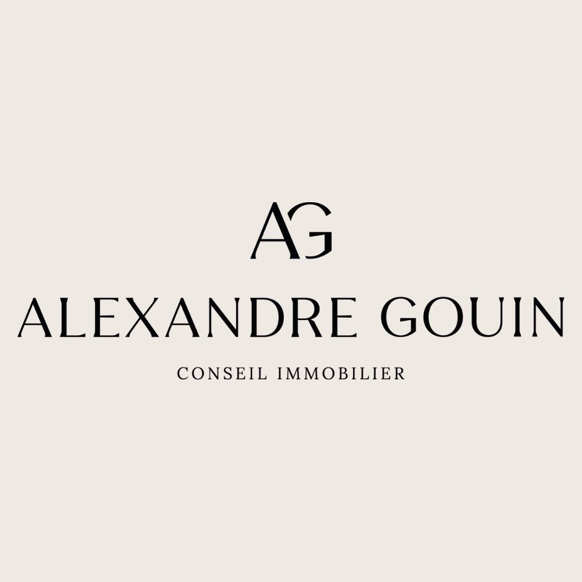 Alexandre Gouin Conseil Immobilier