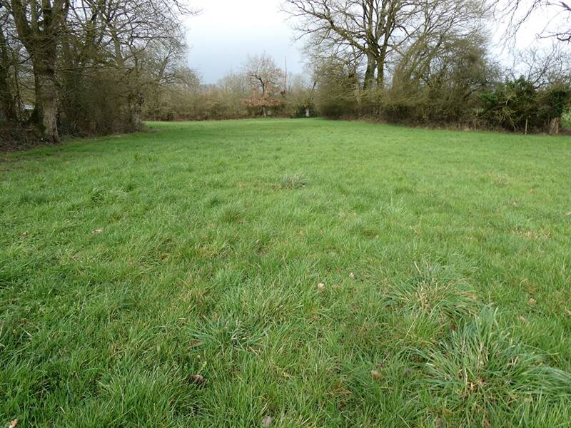 Maison à vendre, 78m², SAINT GEORGES BUTTAVENT