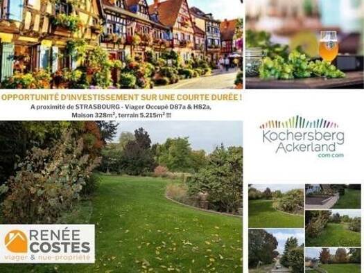 Maison en viager occupé Bouquet 471 900 € 10 pièces 5 chambres 328 m² 5 215 m² de terrain Willgottheim 67370