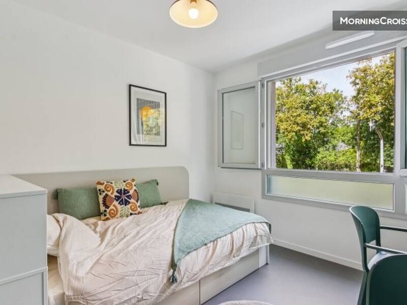 Maison à louer, 19m², PELLOUAILLES LES VIGNES