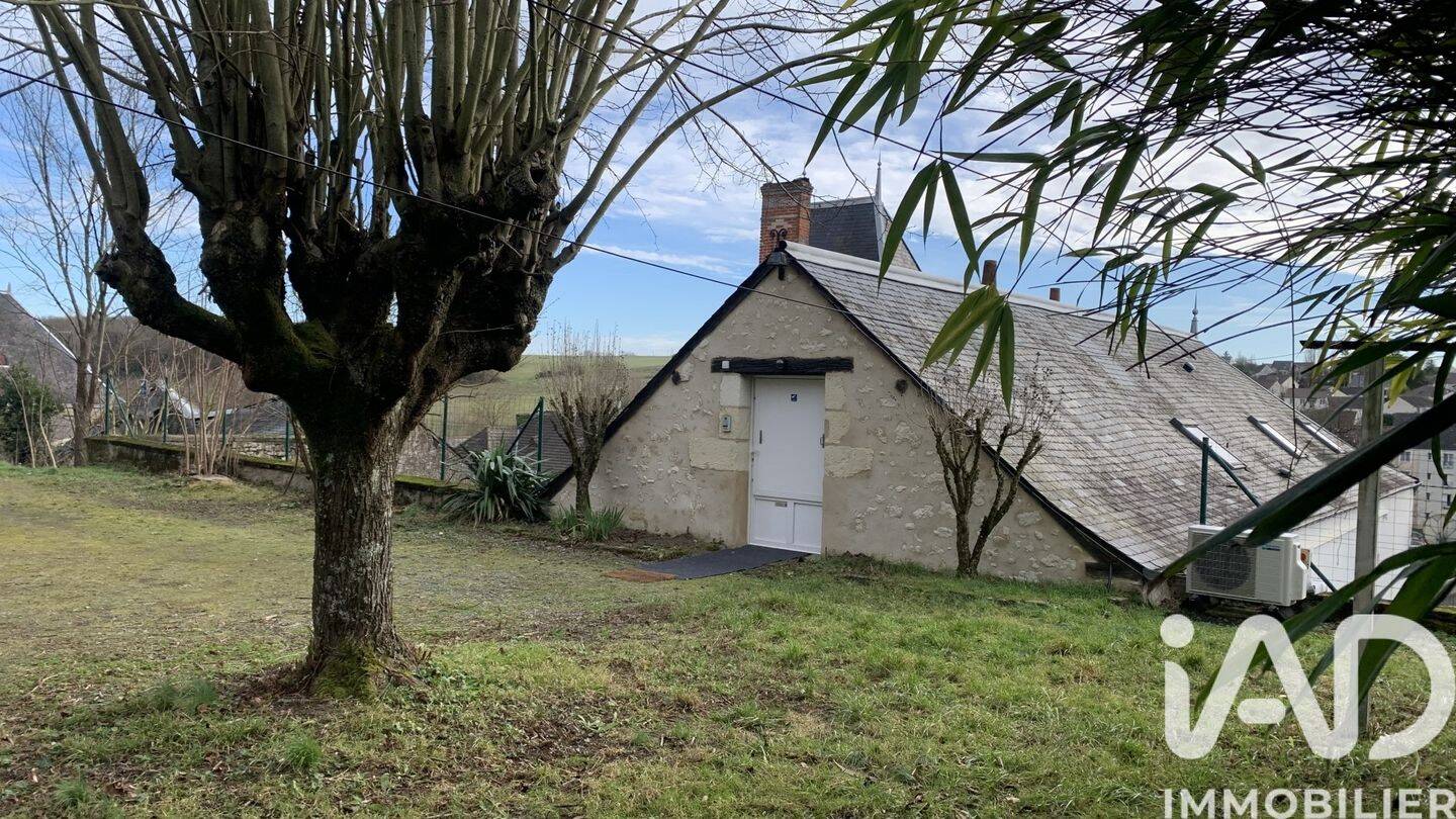 Maison à vendre, 256m², SAINTE MAURE DE TOURAINE