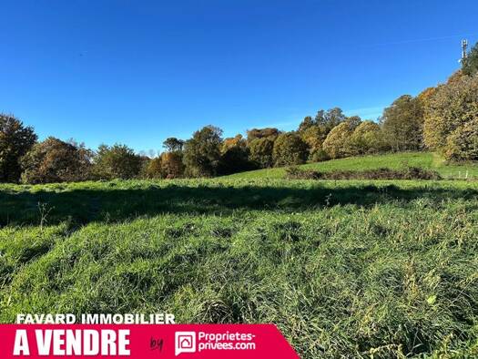 Terrain à vendre 66 000 € 8 903 m² de terrain Saint-Sornin-Lavolps 19230